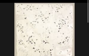 Yves Delorme Paris Saito Organic Cotton KING Fitted Sheet White Multi